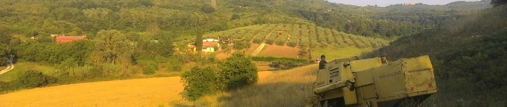 Azienda Agricola La Moreschini